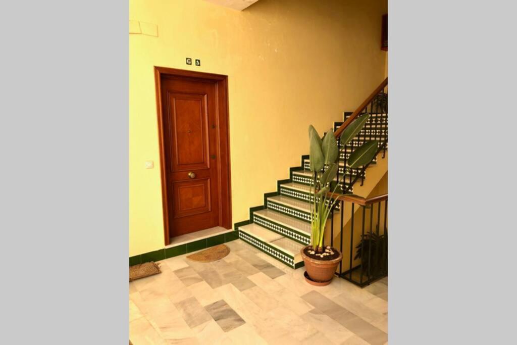 Gatu Villa Palma, Aire Acc Y Confort En El Centro Historico, " Preferente Mayores De 25 Anos Y Familias " 圣玛丽亚港 外观 照片