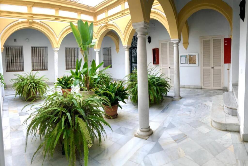 Gatu Villa Palma, Aire Acc Y Confort En El Centro Historico, " Preferente Mayores De 25 Anos Y Familias " 圣玛丽亚港 外观 照片