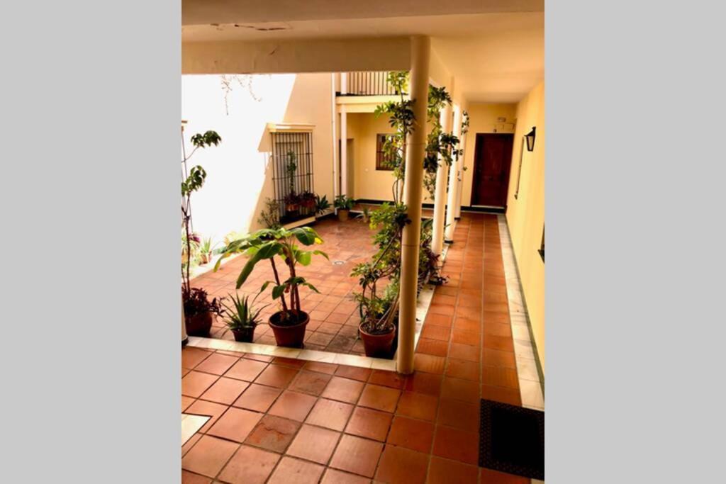 Gatu Villa Palma, Aire Acc Y Confort En El Centro Historico, " Preferente Mayores De 25 Anos Y Familias " 圣玛丽亚港 外观 照片